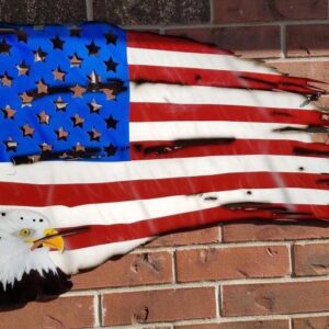 Tattered Flag & Eagle